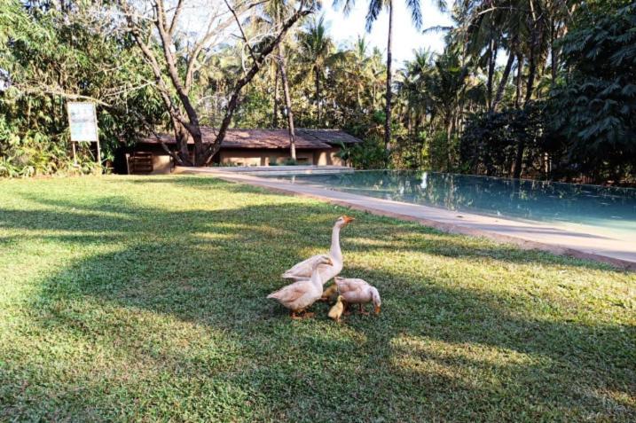 The Orchard Resort Belgaum Eksteriør bilde
