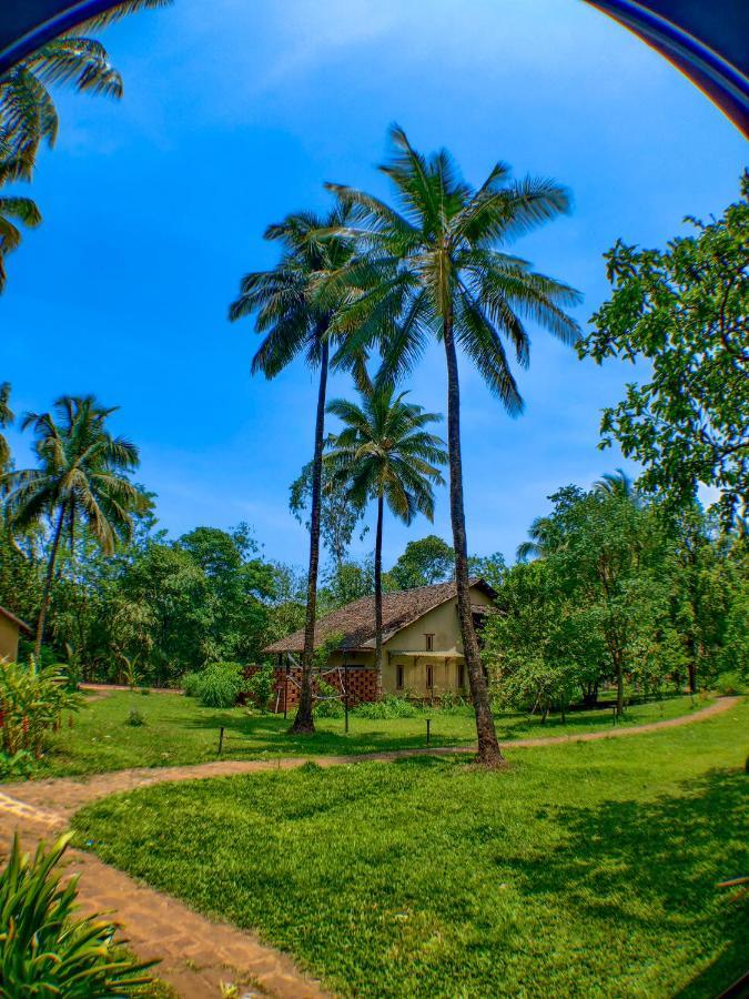The Orchard Resort Belgaum Eksteriør bilde